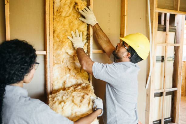 Soundproof Insulation Installation in Ramsey, MN